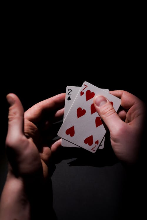Lottovision Situs Judi Terbaik 2026