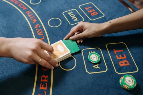 Lottovision Taruhan: Panduan Lengkap Pemain