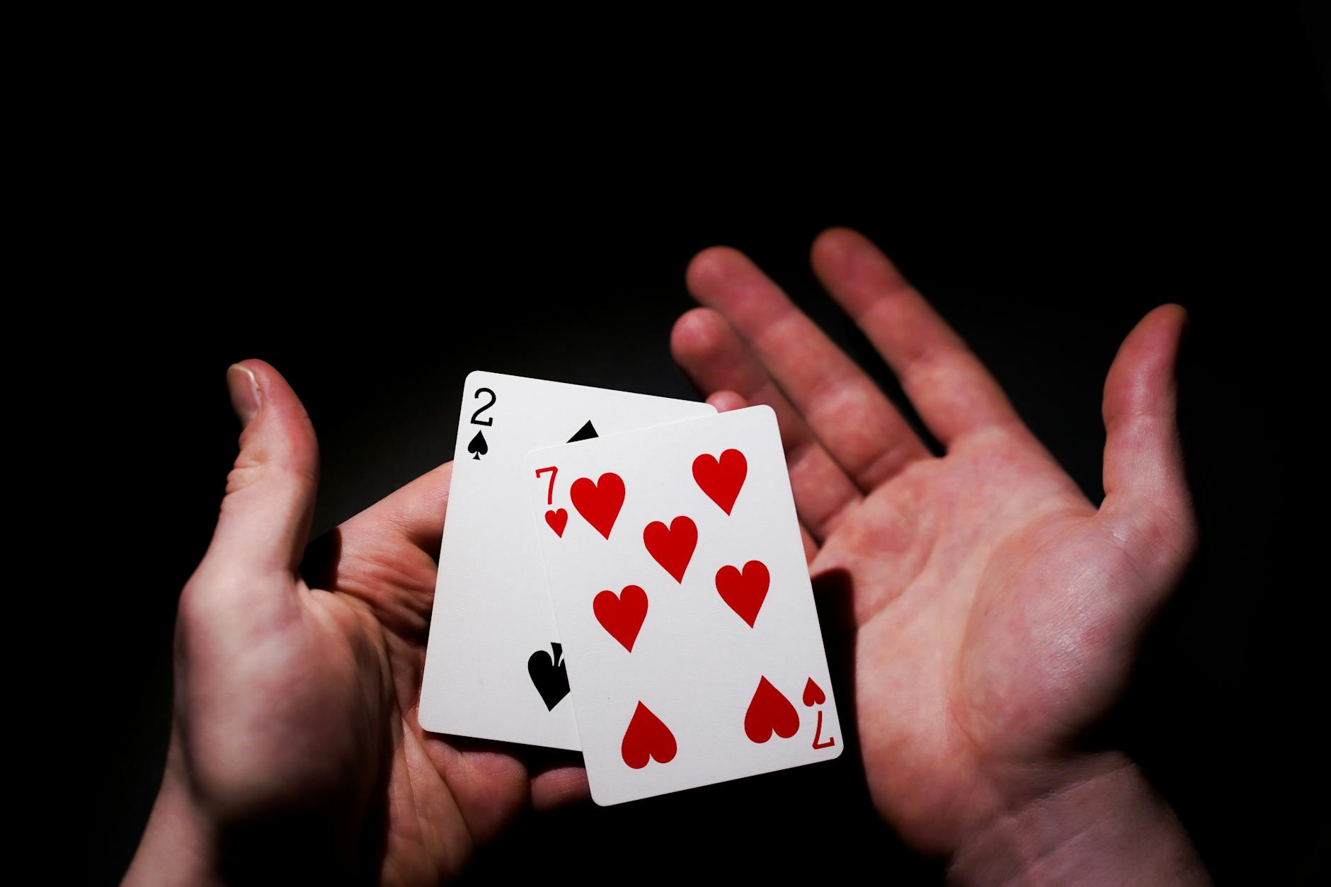 Lottovision Bandar Togel Terbaik 2026